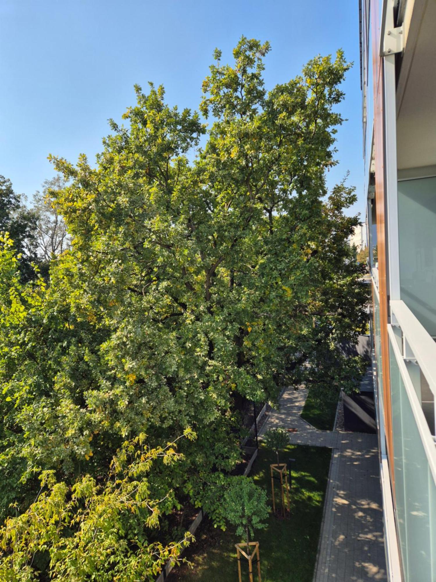 Great Apart Imielin 2 Warszawa Zewnętrze zdjęcie